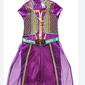 Disney Aladdin Jasmine Costume Outfit